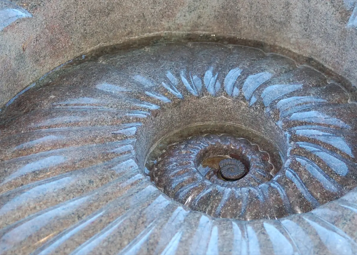 Ammonite Fountain, view 4