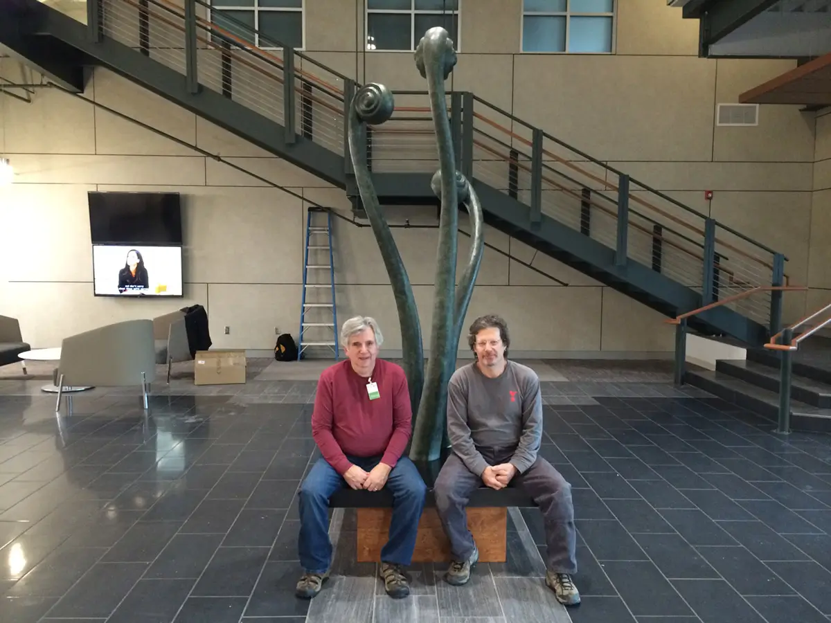 Fiddleheads Bench – SCRA