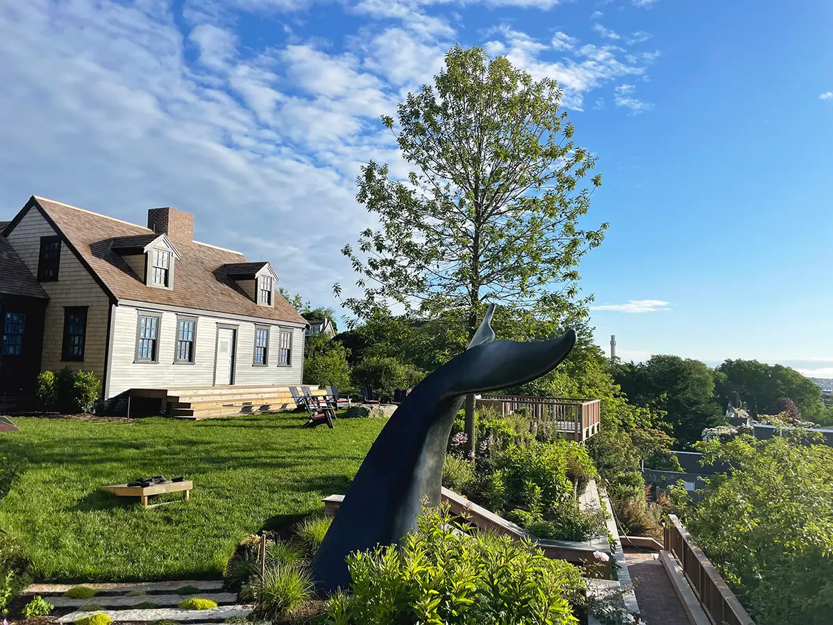 Gail – Whale Tail, view 4