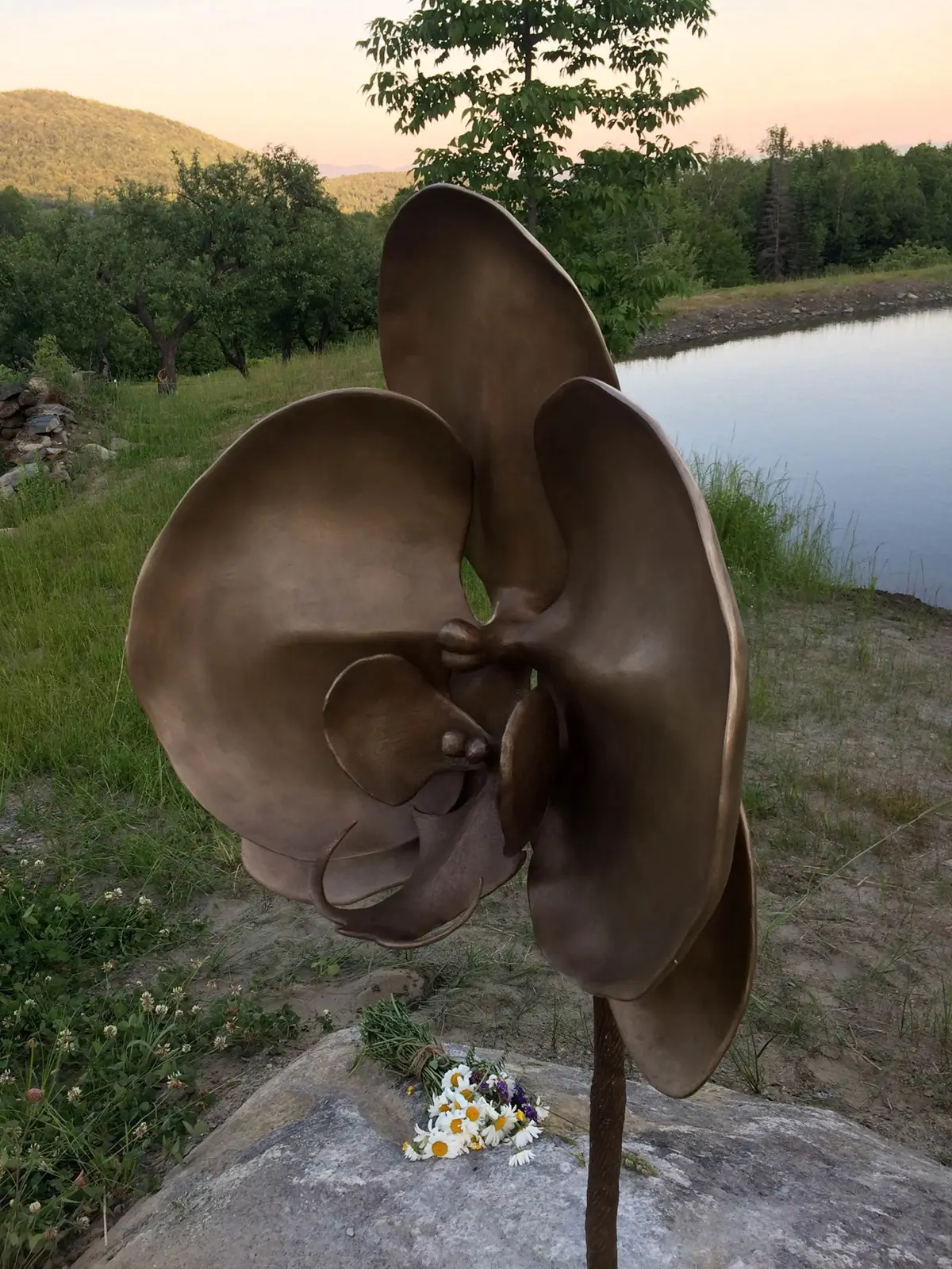 Orchid, view 3