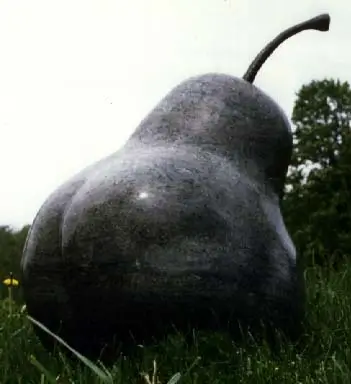 Series of Pears, view 4