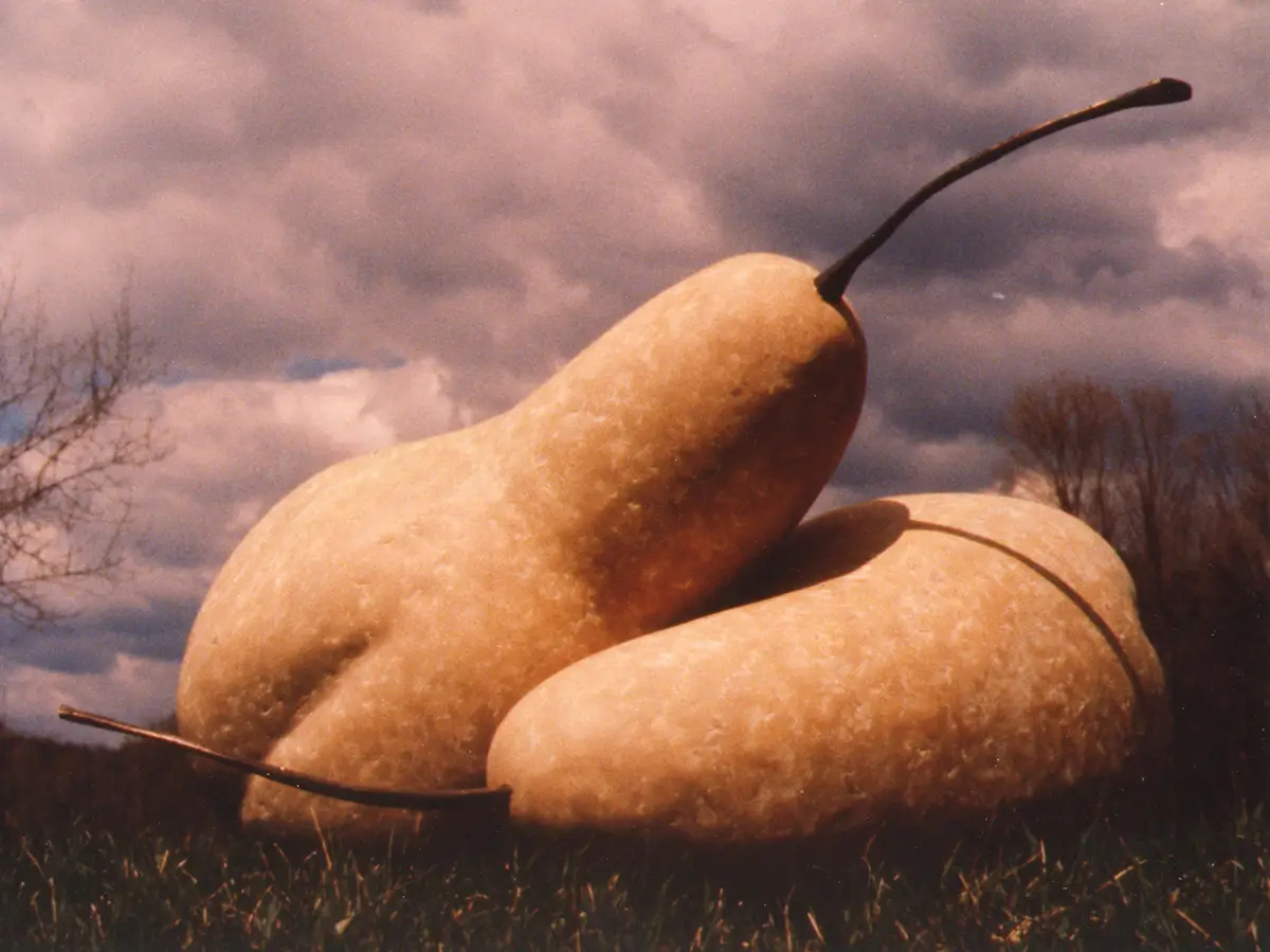 Series of Pears, view 10